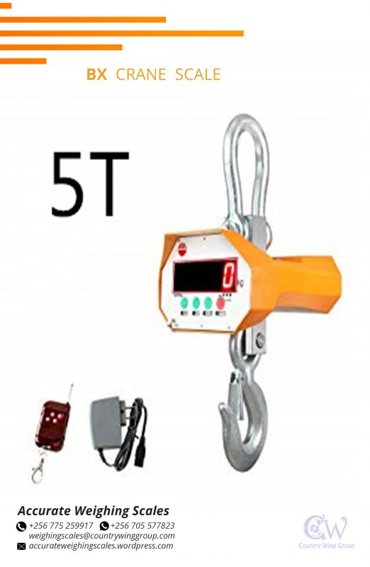 256 705577823 Aczet digital crane fish weighing scale with