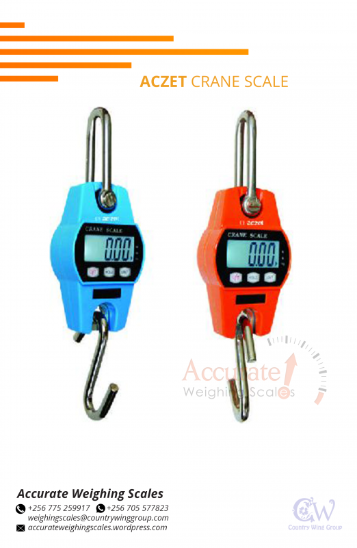 Digital Crane Scales