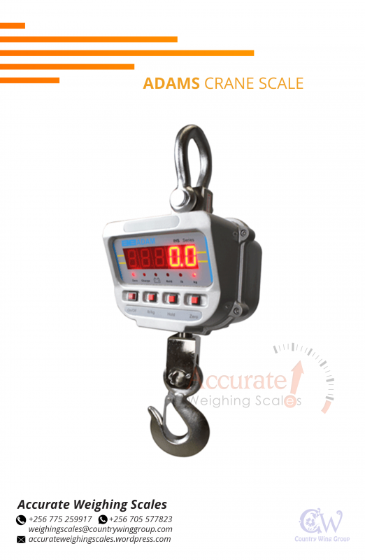 Crane Digital Scale