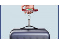 rubber-handle-hook-smile-face-luggage-weighing-scales-small-0