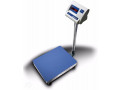 calibrated-light-duty-platform-weighing-scales-100kgs-200kgs-500kgs-small-0