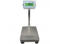 kampala-heavy-duty-platform-weighing-scales-suppliers-small-0