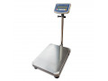 industrial-heavy-duty-platform-scales-for-farm-produce-small-0