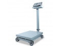 heavy-duty-digital-platform-weighing-scale-suppliers-small-0