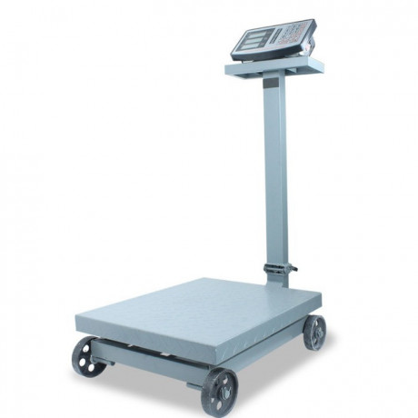 heavy-duty-digital-platform-weighing-scale-suppliers-big-0