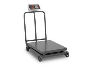 Licensed heavy-duty platform weighing scale for trade