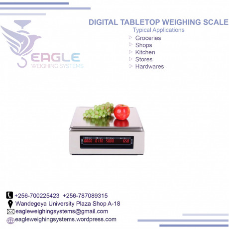 what-is-the-price-of-a-precision-weighing-scale-in-kampala-big-0