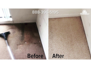 Carpet Cleaning Company in Kampala