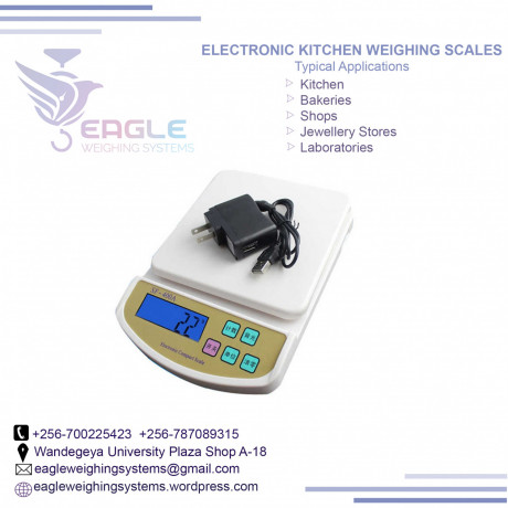 digital-kitchen-weighing-electronic-scales-in-mukono-big-0