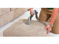 bed-bug-control-kampala-small-1