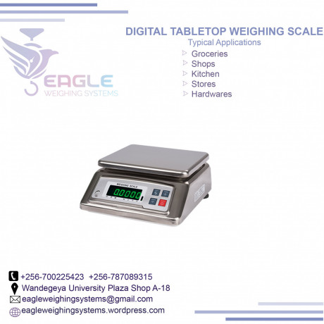 waterproof-weighing-scale-for-weighing-fish-in-mukono-big-0