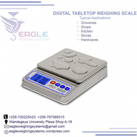 digital-precision-industrial-weighing-scales-in-jinja-big-0