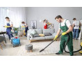why-work-with-our-carpet-cleaner-small-3