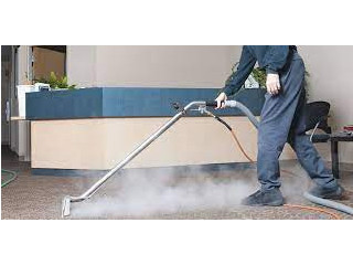 Why Work With Our Carpet Cleaner?