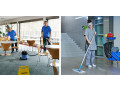 versatile-commercial-cleaning-services-in-muyenga-small-3