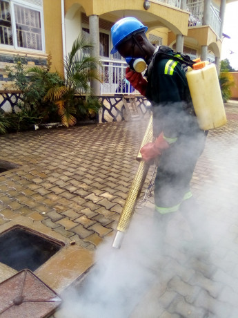 fumigation-services-in-mukono-big-4