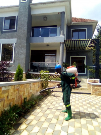 fumigation-services-in-mukono-big-2