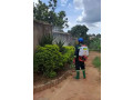 fumigation-services-in-kalagi-small-3