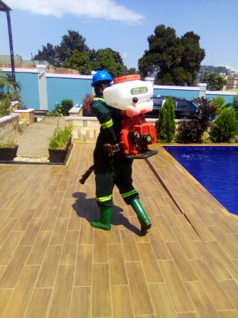 fumigation-services-in-nagalama-big-0