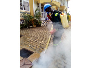 Fumigation services in Kayanja.