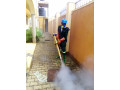 fumigation-services-in-anthony-small-3