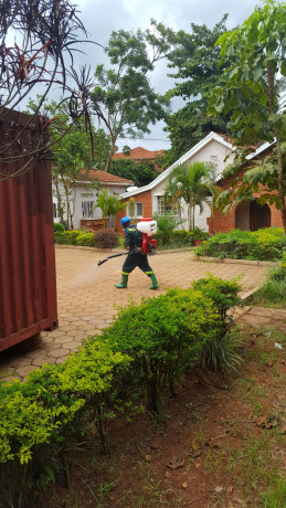 fumigation-services-in-anthony-big-1