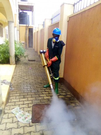 fumigation-services-in-anthony-big-3