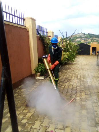 fumigation-services-in-bajjo-big-3