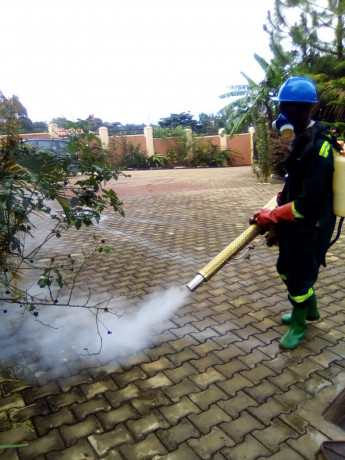 fumigation-services-in-bamusuuta-big-4