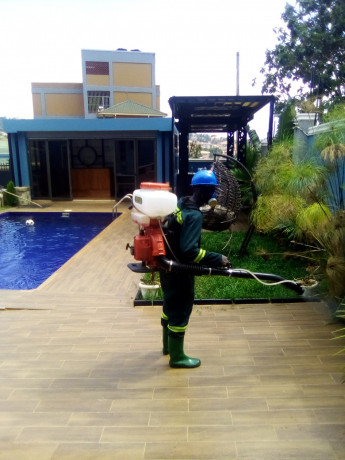 fumigation-services-in-bamusuuta-big-0