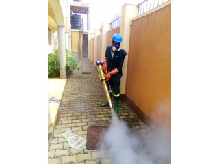 Fumigation services in Bamutakudde.