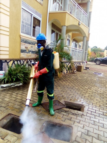 fumigation-services-along-mukono-katosi-road-big-4