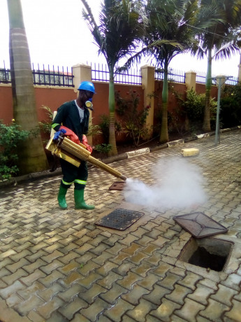 fumigation-services-along-nabuti-road-big-1