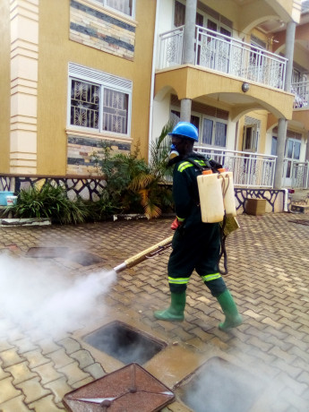 fumigation-services-along-road-to-mukono-court-big-2