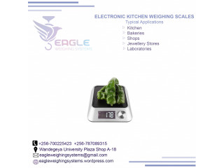 Industrial electronic digital weighing scales in mukono