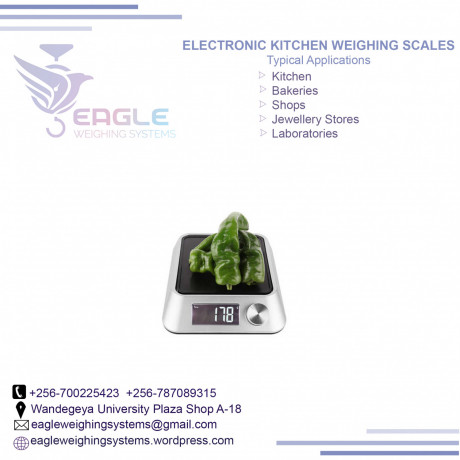 industrial-electronic-digital-weighing-scales-in-mukono-big-0