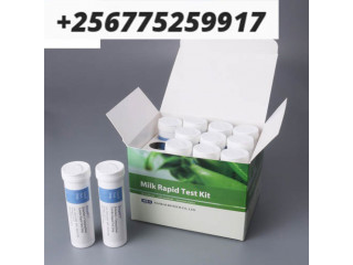 Quick detection aflatoxin test kit in Uganda