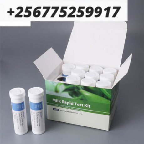 quick-detection-aflatoxin-test-kit-in-uganda-big-0