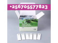 best-aflatoxin-mycotoxin-rapid-test-kit-in-kampala-small-0