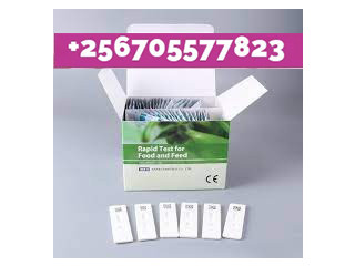 Best Aflatoxin mycotoxin rapid test kit in Kampala