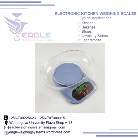 wholesale-food-kitchen-digital-weighing-scales-in-nakawa-big-0