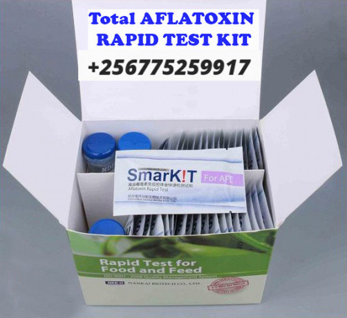 toxins-detector-total-aflatoxin-test-kit-in-uganda-big-0