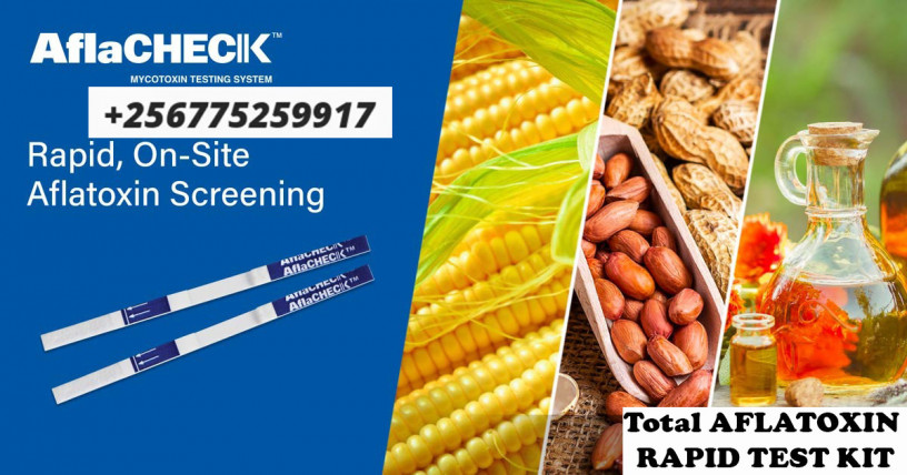 testing-solutions-aflatoxin-rapid-test-kit-in-kampala-uganda-big-0