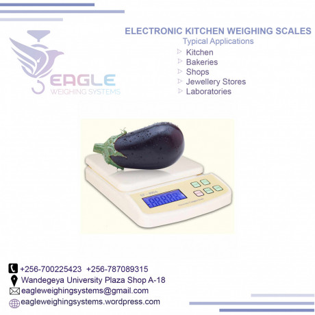 high-accuracy-counting-scales-in-nakawa-big-0