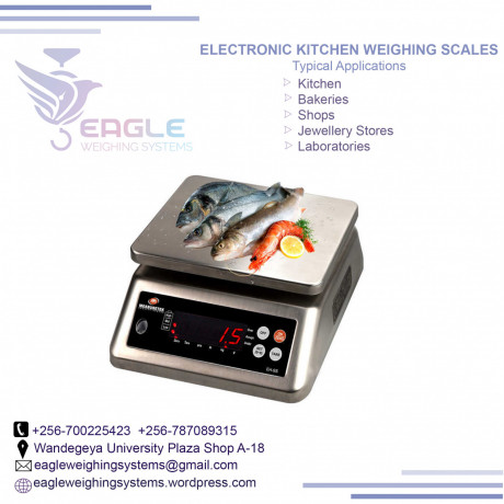 stainless-steel-table-top-waterproof-weighing-scales-in-mukono-big-1