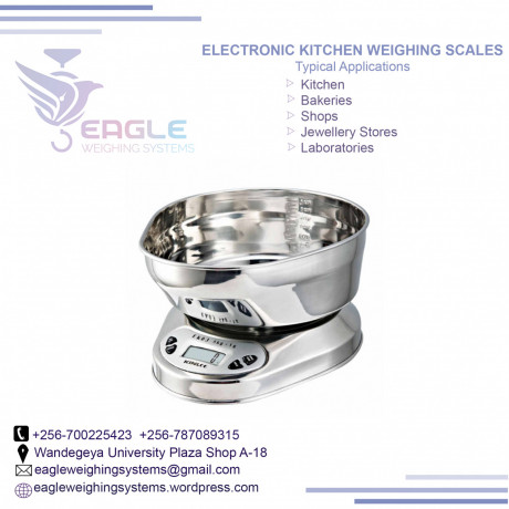 stainless-steel-electronic-weighing-scales-in-kampala-big-0