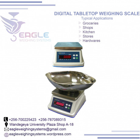 digital-precision-industrial-weighing-scales-in-jinja-big-0