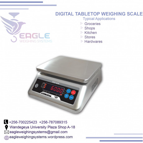 waterproof-weighing-scale-for-weighing-fish-in-mukono-big-0