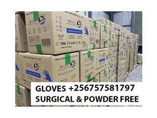 Best surgical and powder free gloves in Kampala Uganda