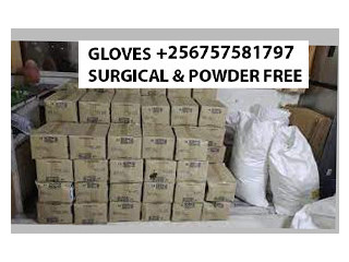 Surgical and Powder free gloves in Kampala Uganda